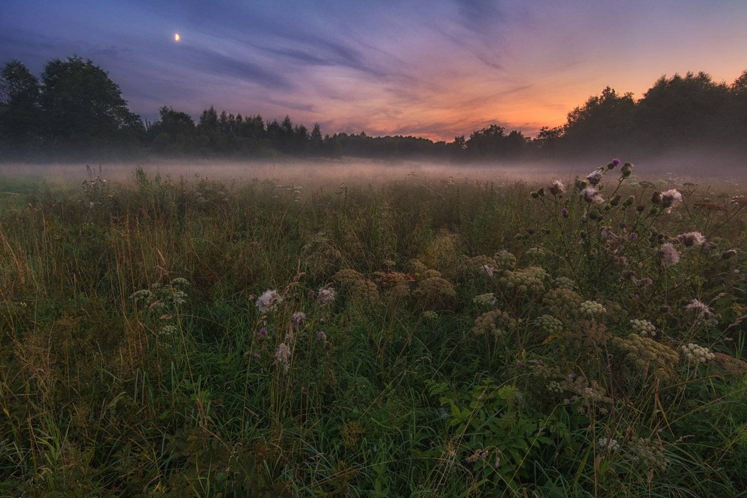 , Курдюков Михаил