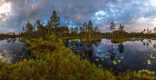 Северное лето, или пасмурный рассвет. 