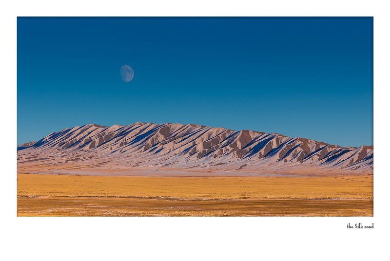 Moonlight, ай... лунный свет ;) фото превью
