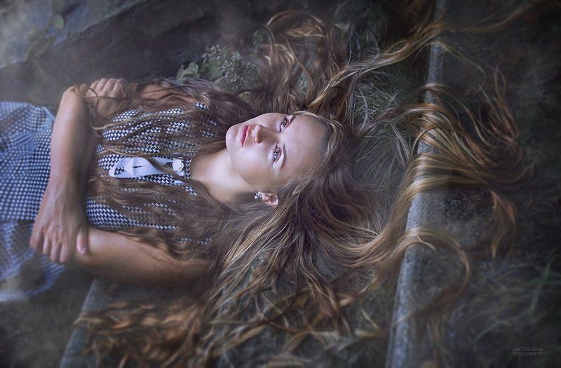 портрет, луна, ночь, вечер, туман, свет, лестница?portrait, moon, night, evening, fog, light, ladder Moonlight фото превью