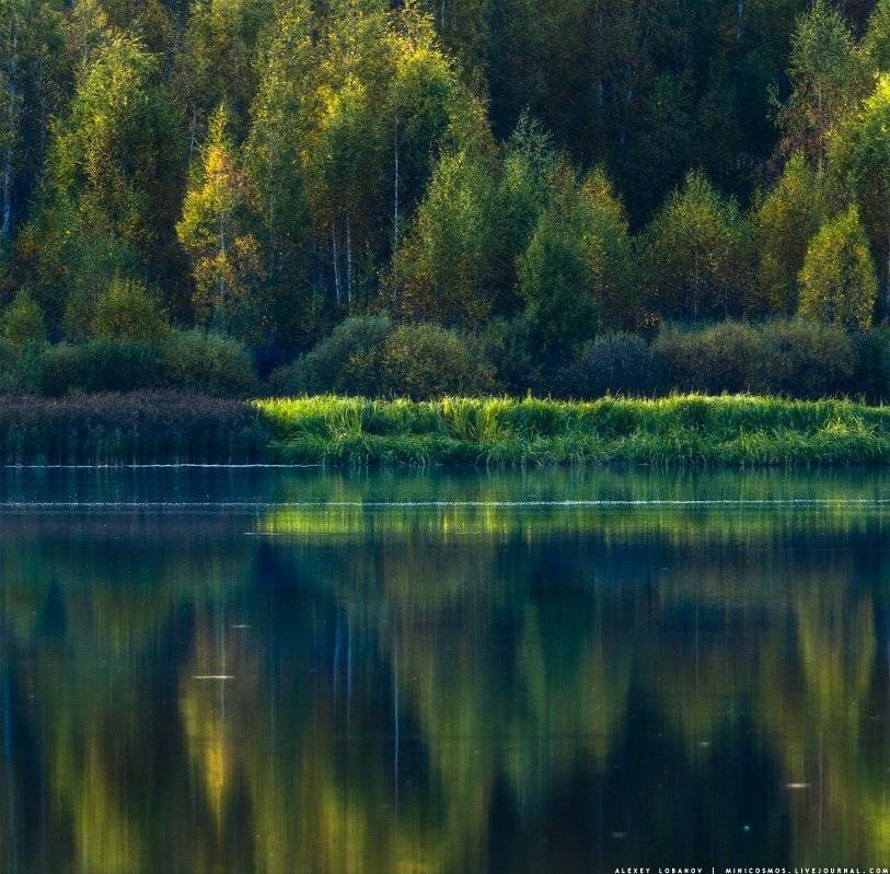 , Алексей Лобанов