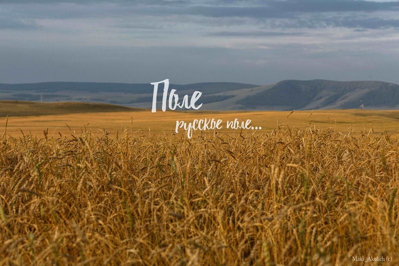 Krsk, Nature, Russia, Siberia, Красноярский край, Россия, Сибирь, Хакасия Хакасия фото превью