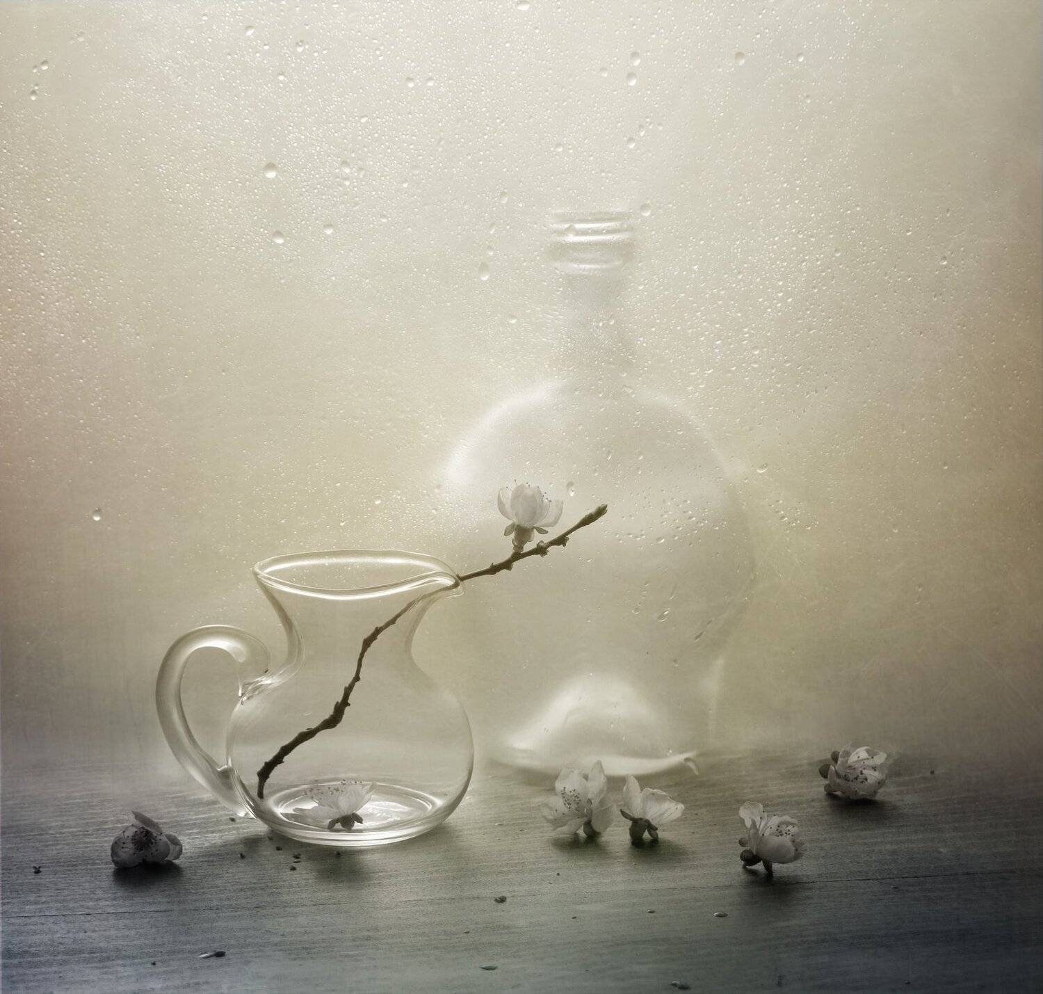 весна, капли, кувшин, ветка, бутылка, Елена