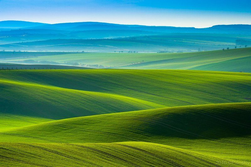 Шелковое поле Моравии фото превью