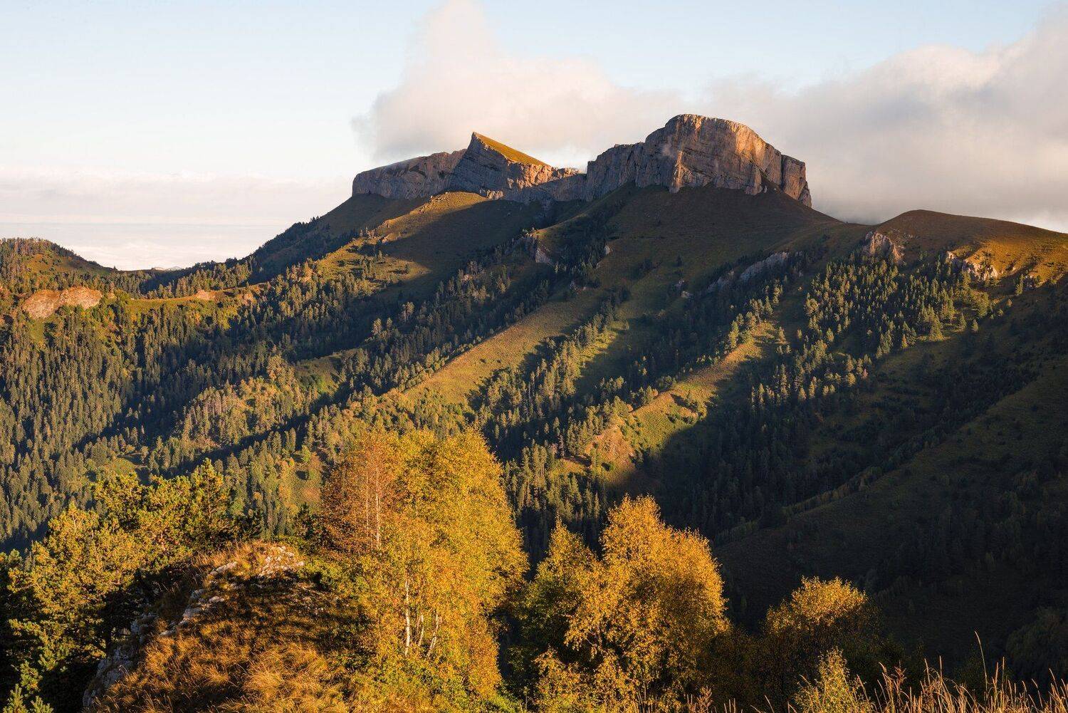 , Alexander Plekhanov