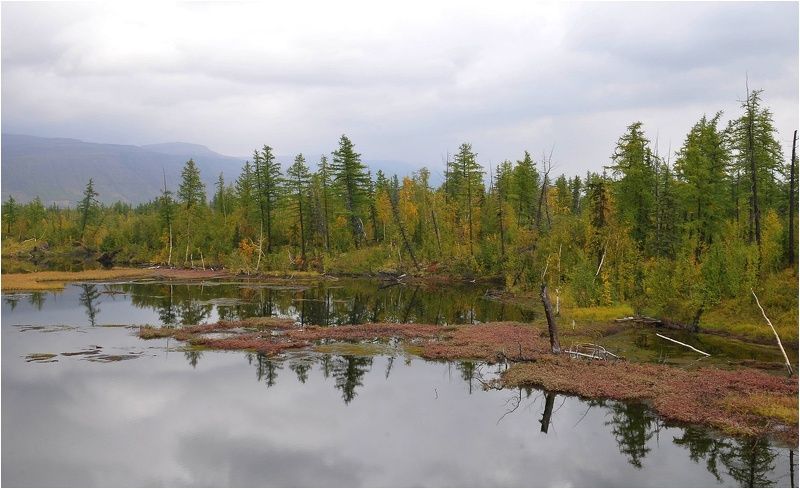 На пороге осень фото превью