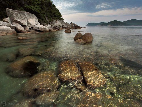 В гостях у морских ежей