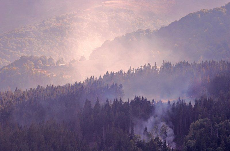 дым&дымка фото превью