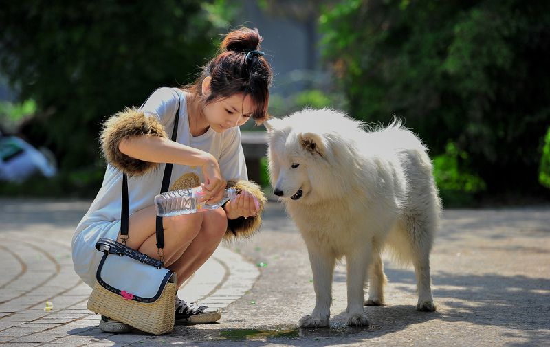 人与动物 фото превью