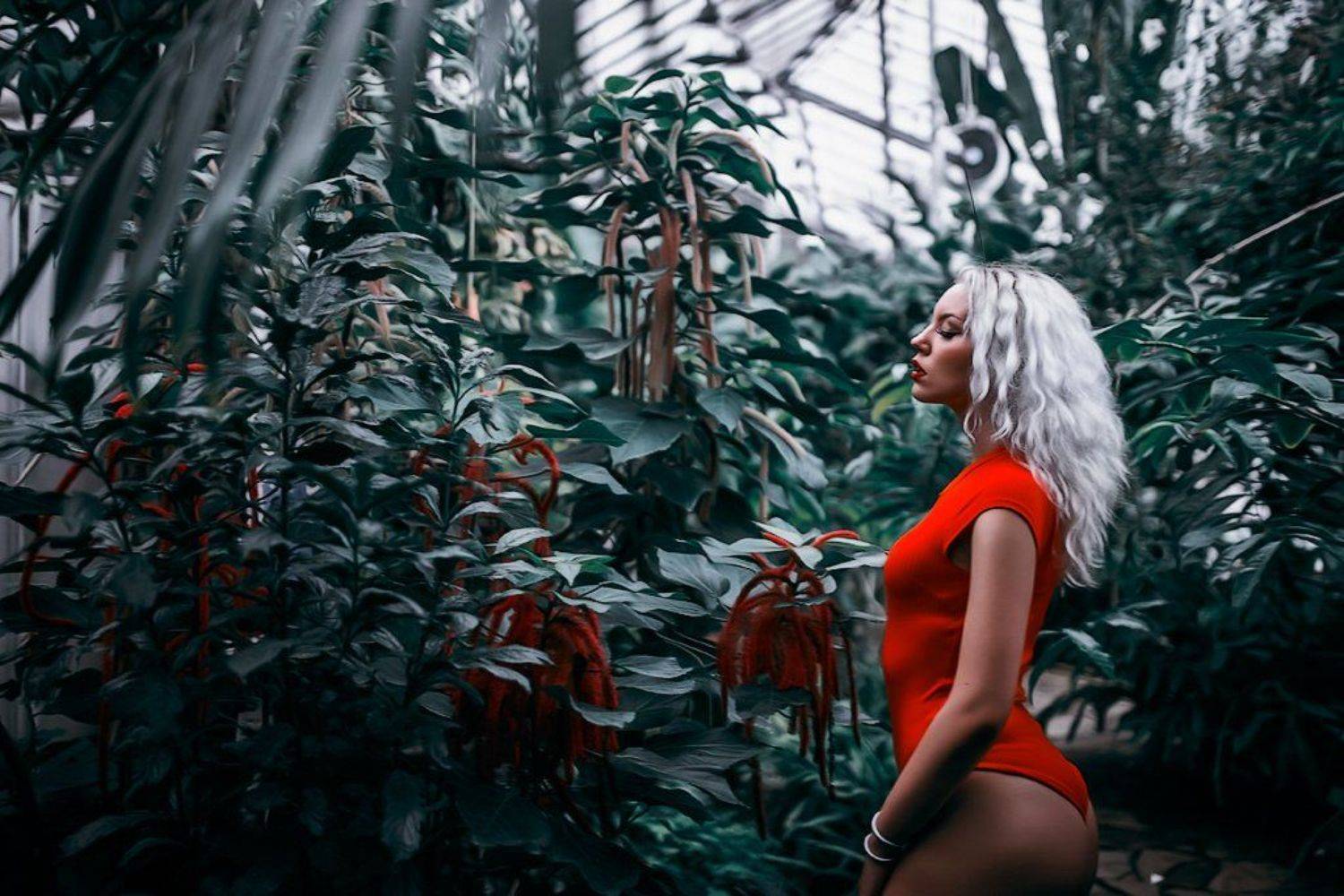 , Ткач Михаил