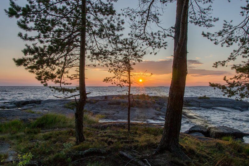 2016, d3100, nikon, вечер, закат, карелия, лето, мыс пери нос, онега, онежское озеро, пейзаж, природа, россия Вечер на озере фото превью