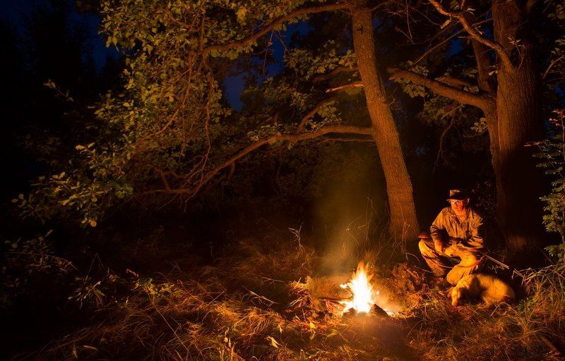 костер, ночь, ночевка, звездное небо, охота, охотник, собака, саров Охотничьи истории фото превью