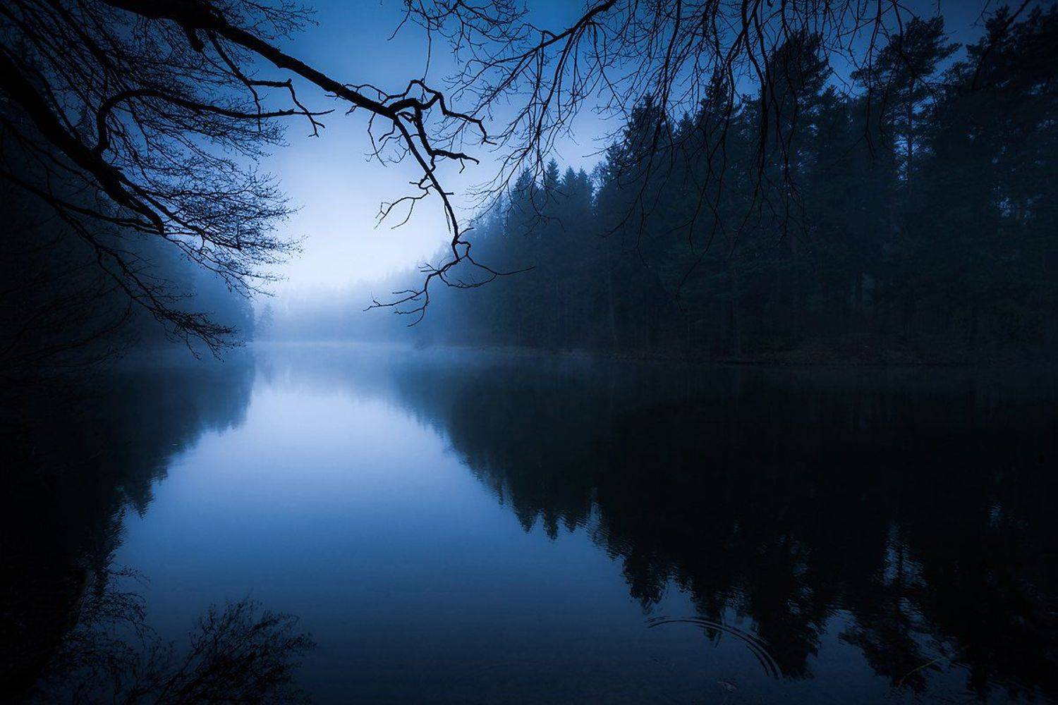 Лес, Мгла, Озеро, Туман, Копычко Михаил