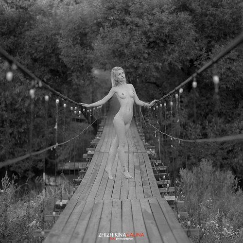 Bridge