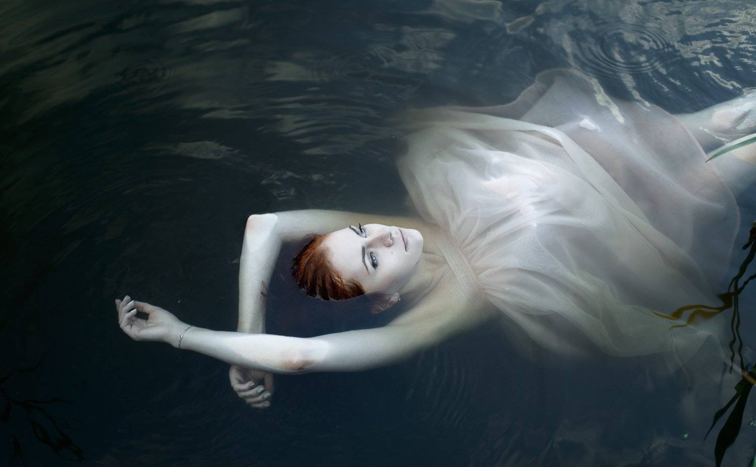 , Александр Мухин