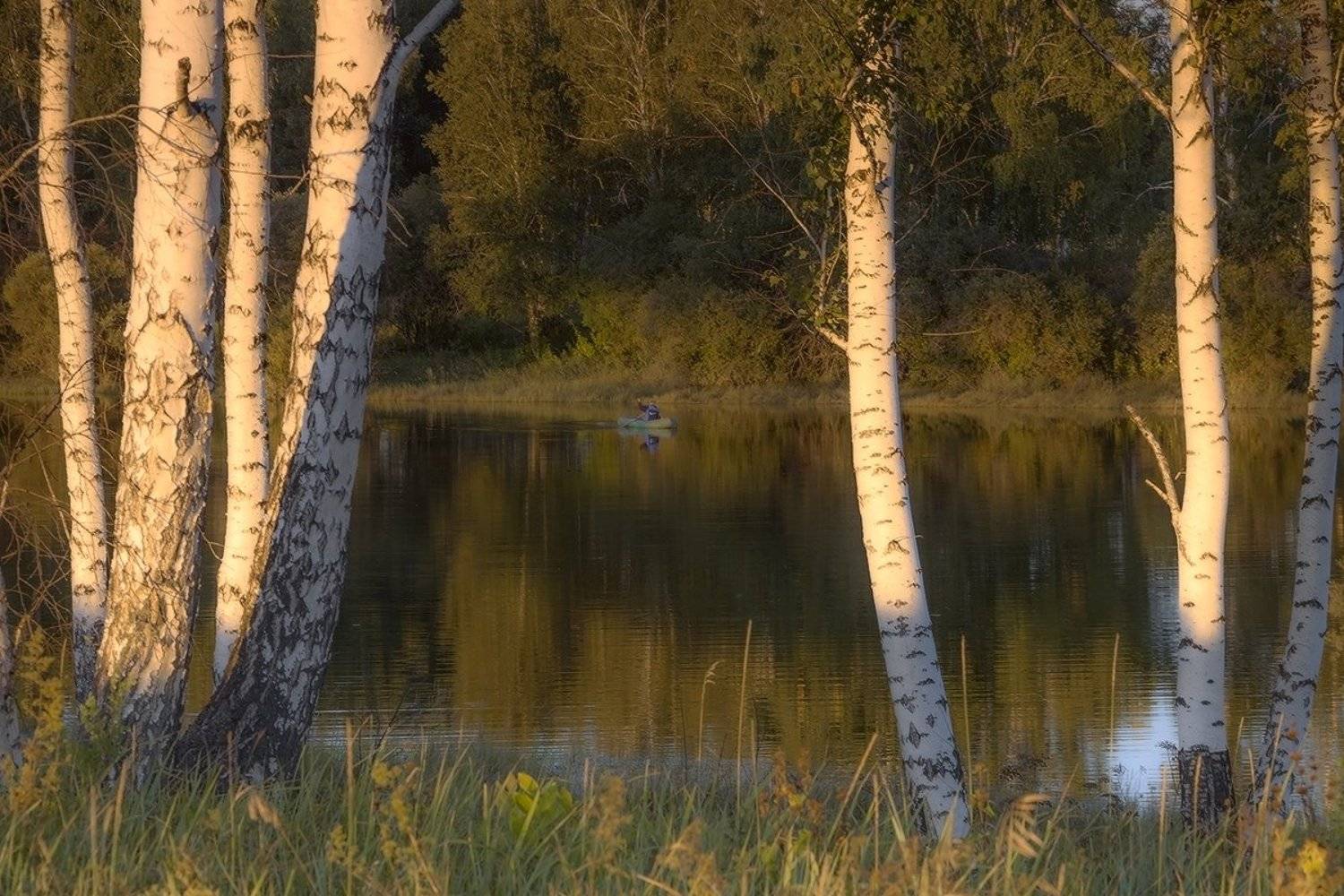 , Николай Морский