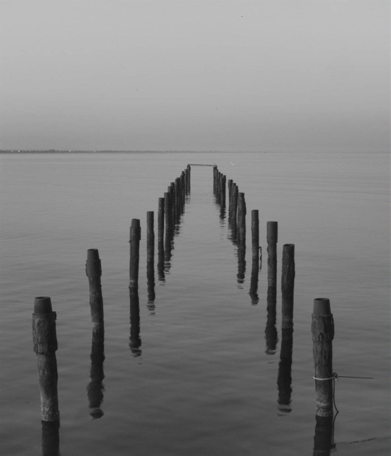 линии, пятна, природа, пейзаж,, valeko