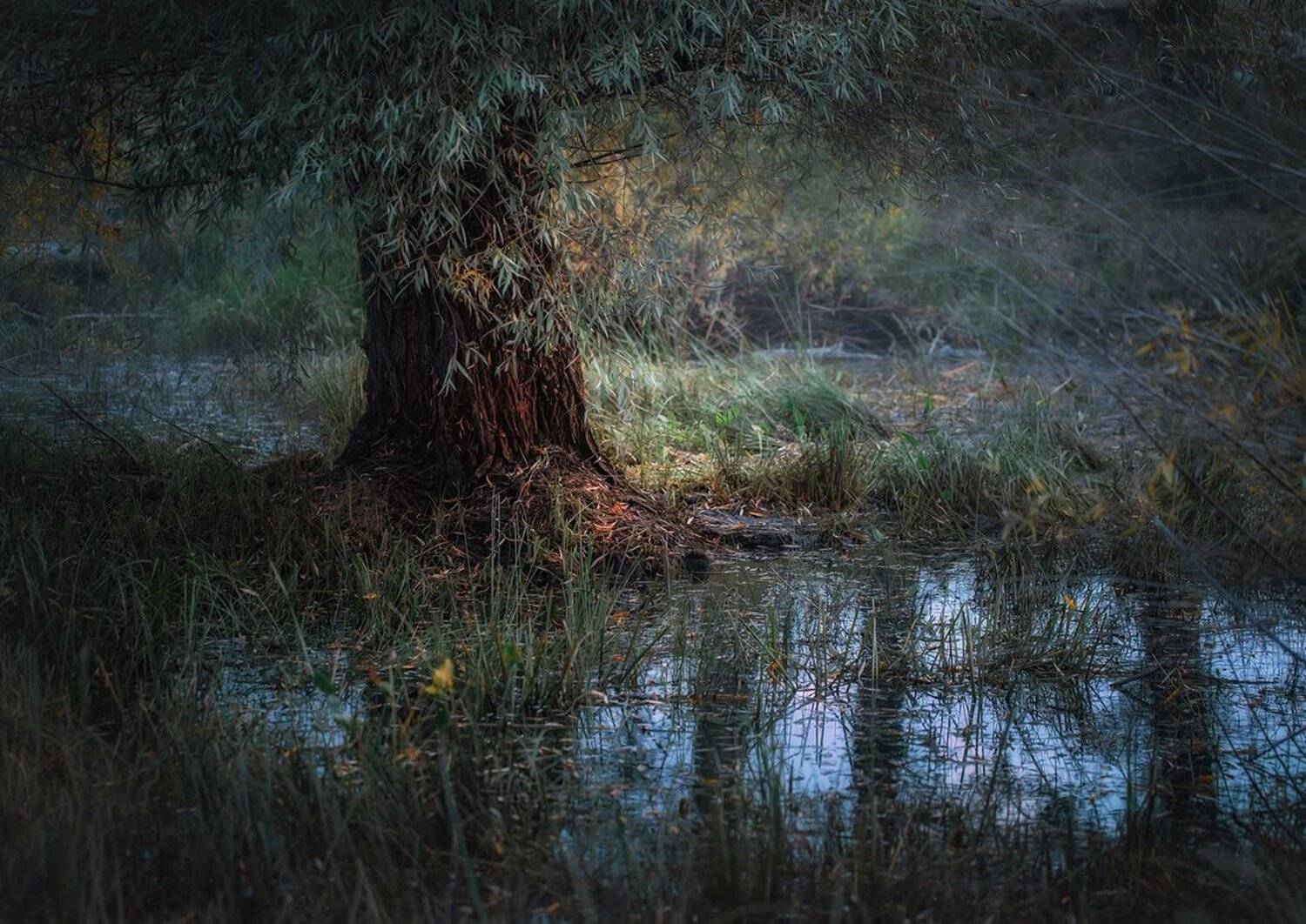 , Ратушнова-Осинцева Арина