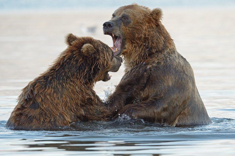 Игры по взрослому фото превью