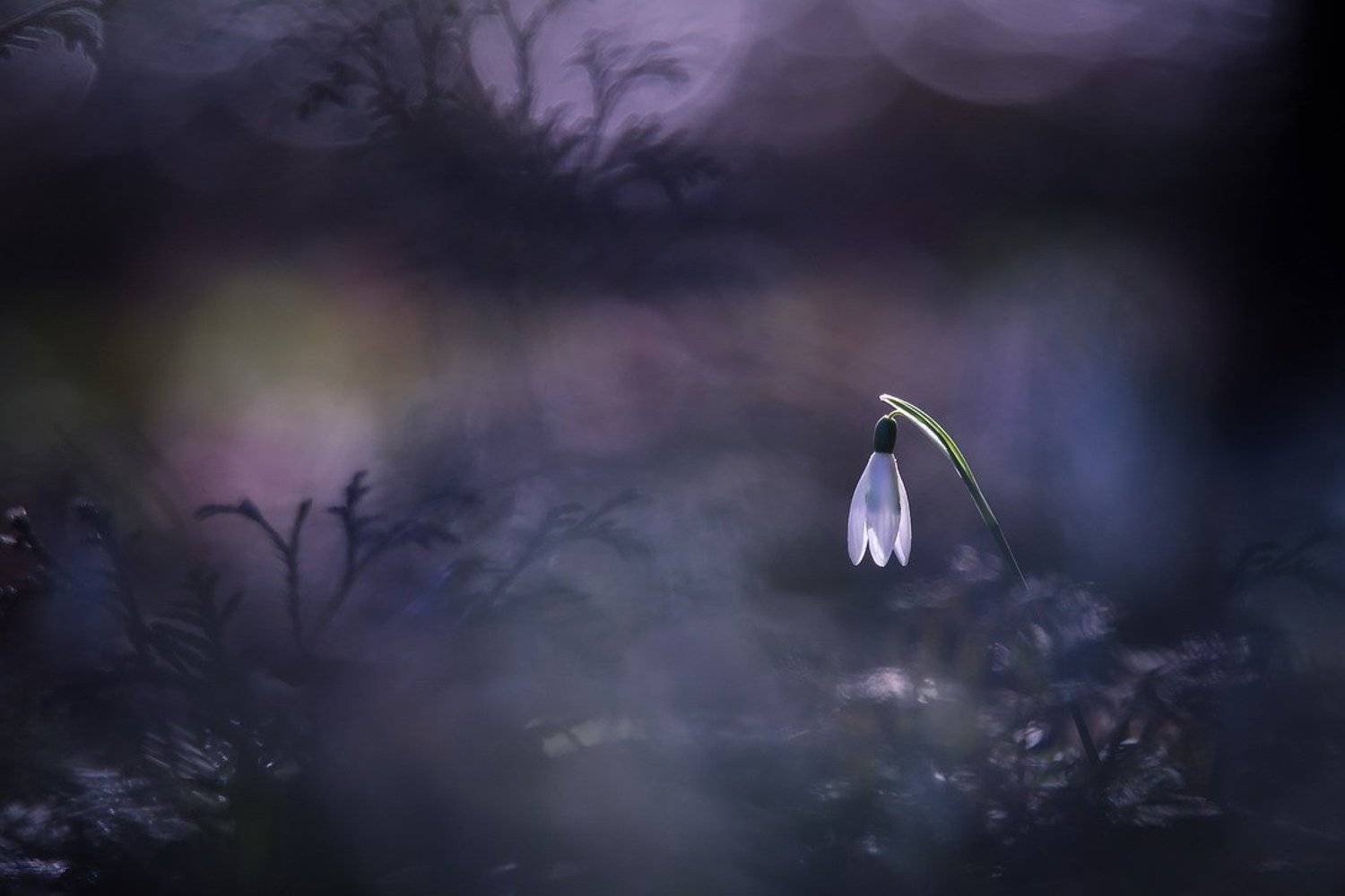 , Вячеслав Мищенко