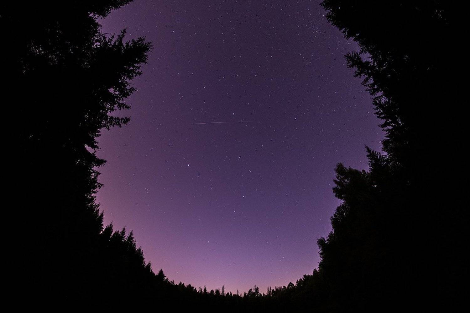 Подмосковье звезды персеиды астрофото лобня лес озерно небо астрономия star, sky, night, blue, darkness, dark, background, nebula, nebulae, graphic, cold, render, rendered, fusion, interstellar, backdrop, space, outdoor, gaseous, indigo, deep, astronomy, , Королев Саша