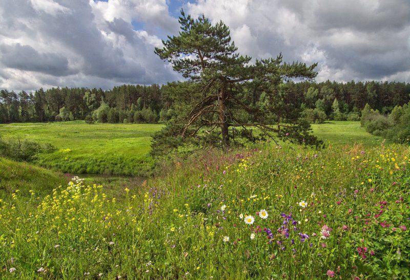 Перед грозой фото превью