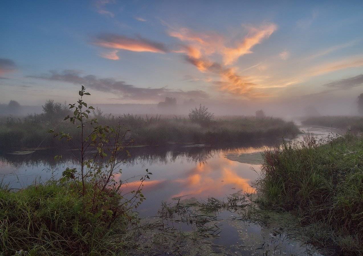 , Владимир Перепечаев