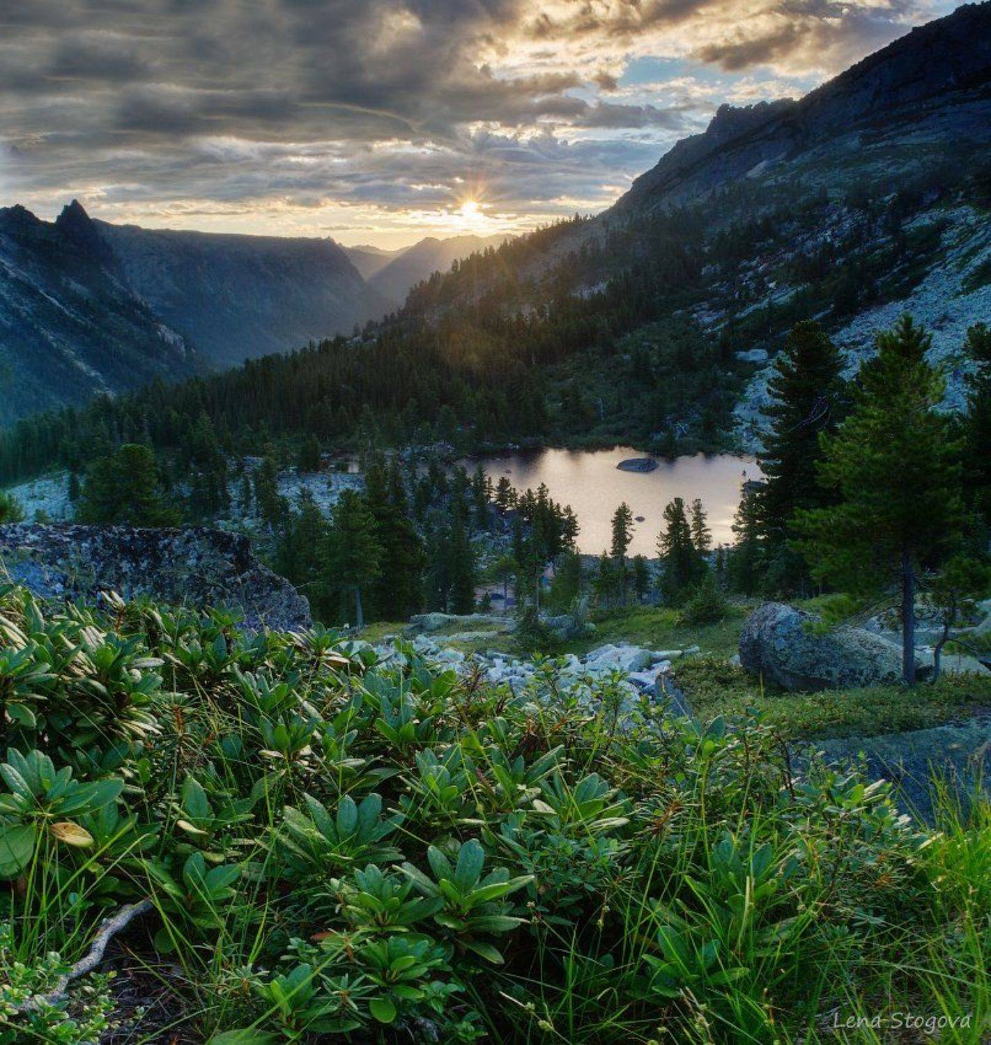 , Лена Стогова