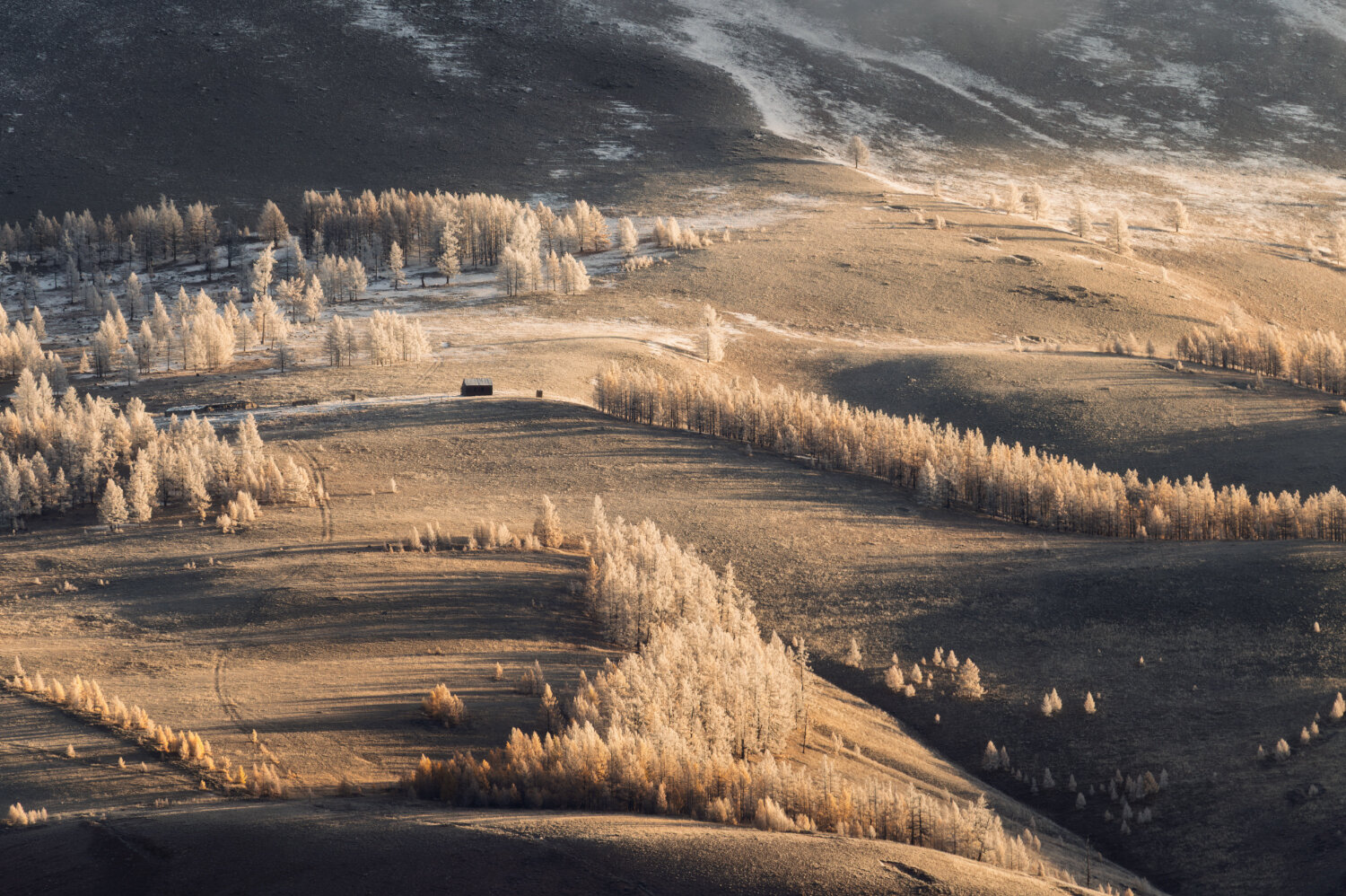 республика алтай, осенний алтай, золотая осень, курайский хребет, горный алтай, кош-агачский район, Рубан Алёна