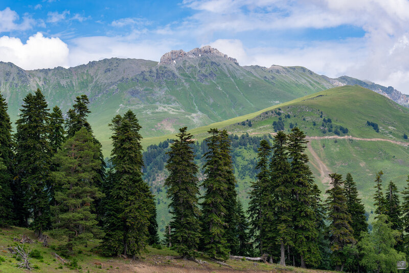 архыз Архыз фото превью