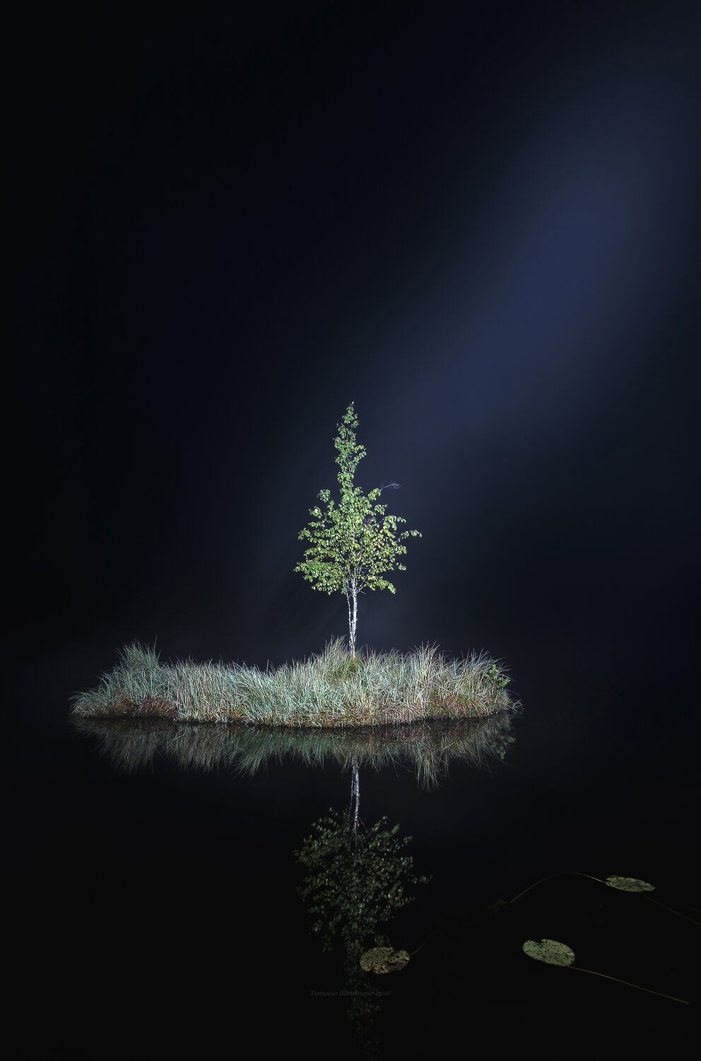 ночь, ленобласть, карельский перешеек, болото, пейзаж, природа, night, landscape, nature, ночной пейзаж, ленинградская область, болота, Щепотина Татьяна