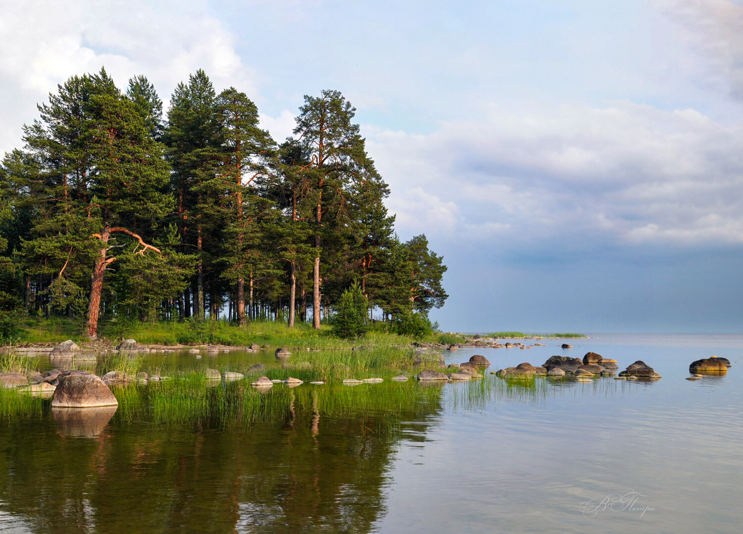 озеро, камни, сосны, Вера Петри