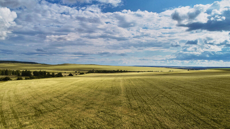 поле, россия, мордовия Поле фото превью