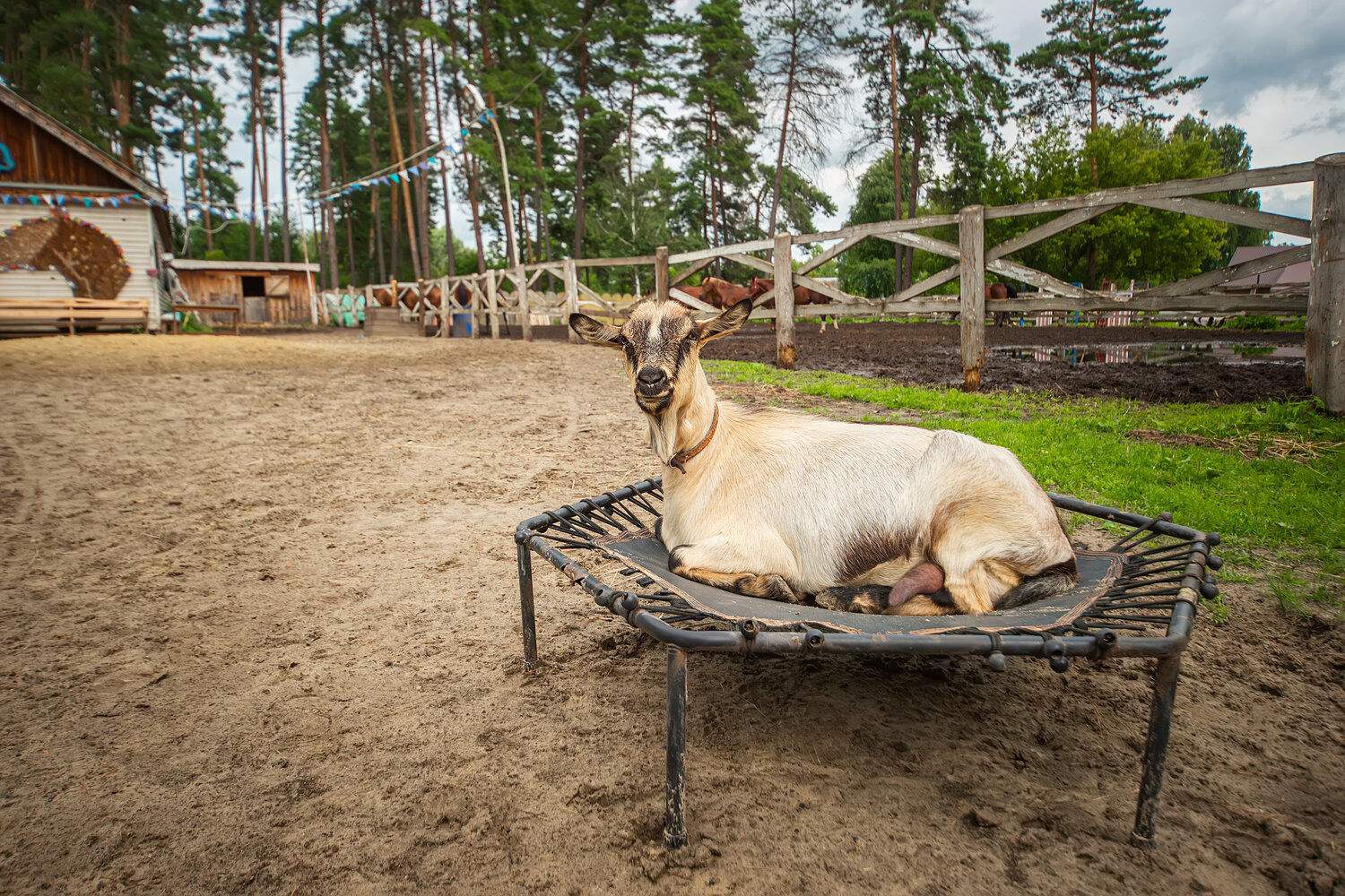 , Корнеев Алексей