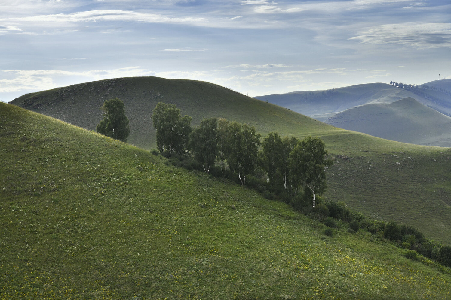 , Крат Светлана