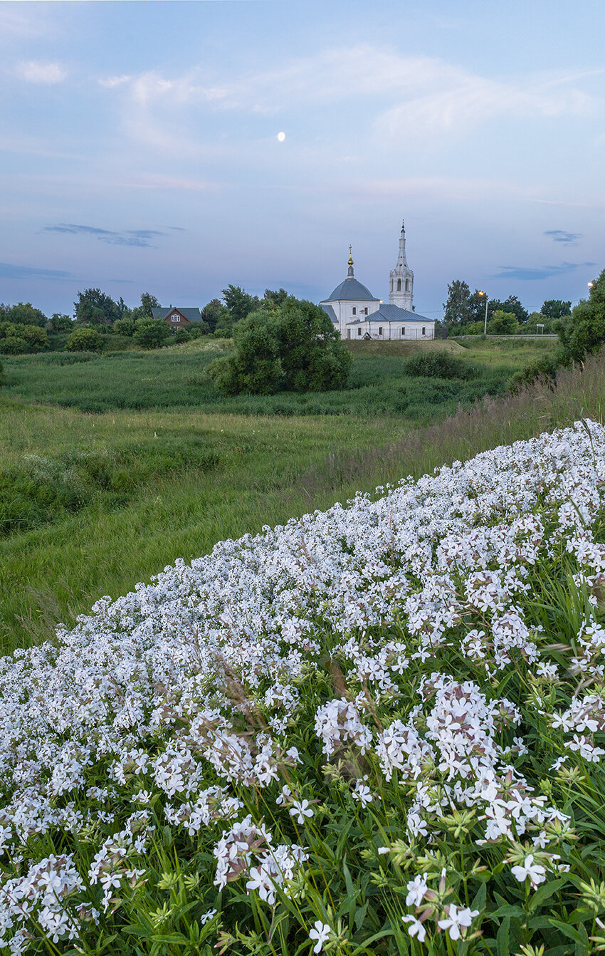 , Юлия