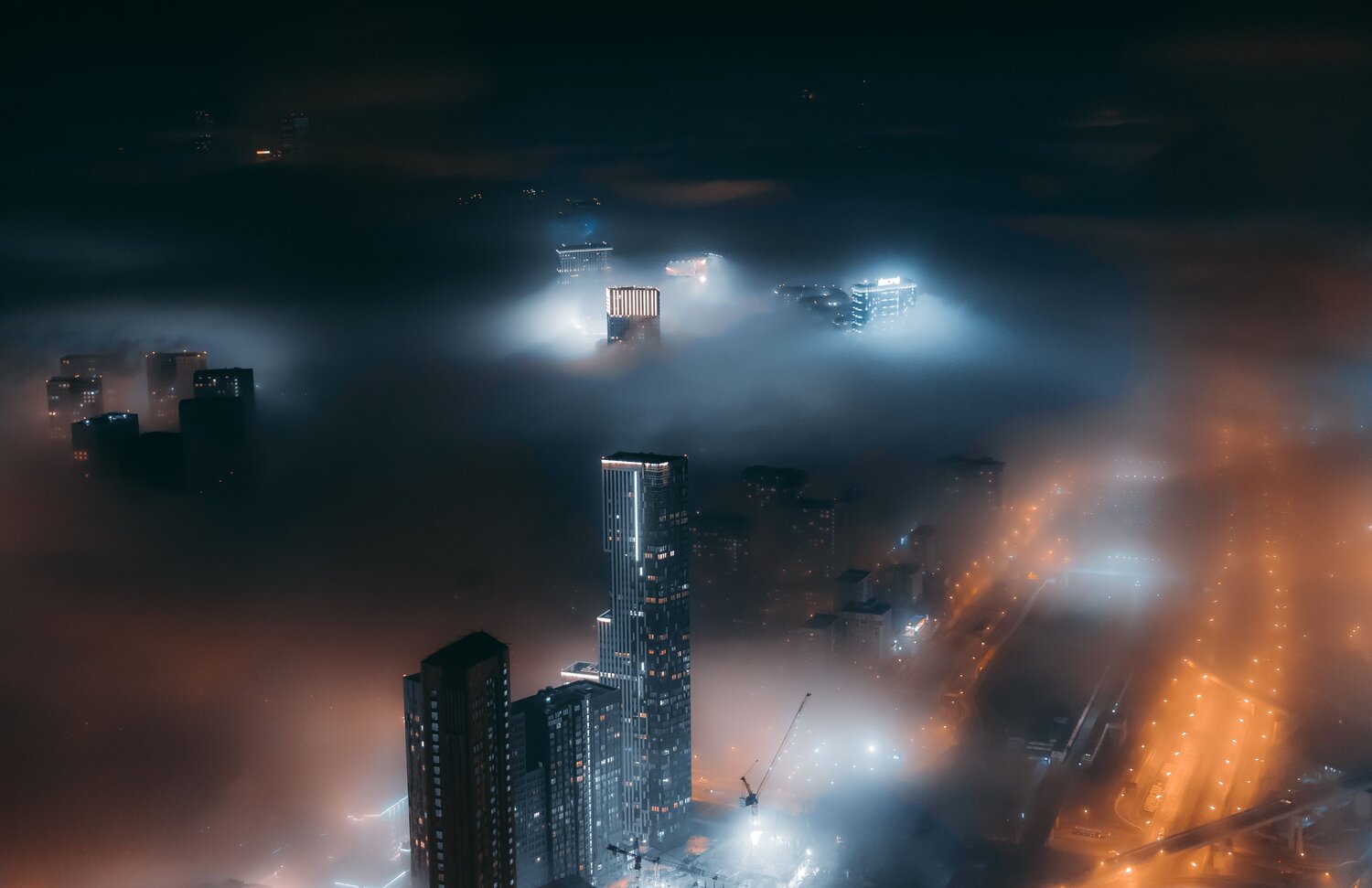 , Трепольский Дмитрий