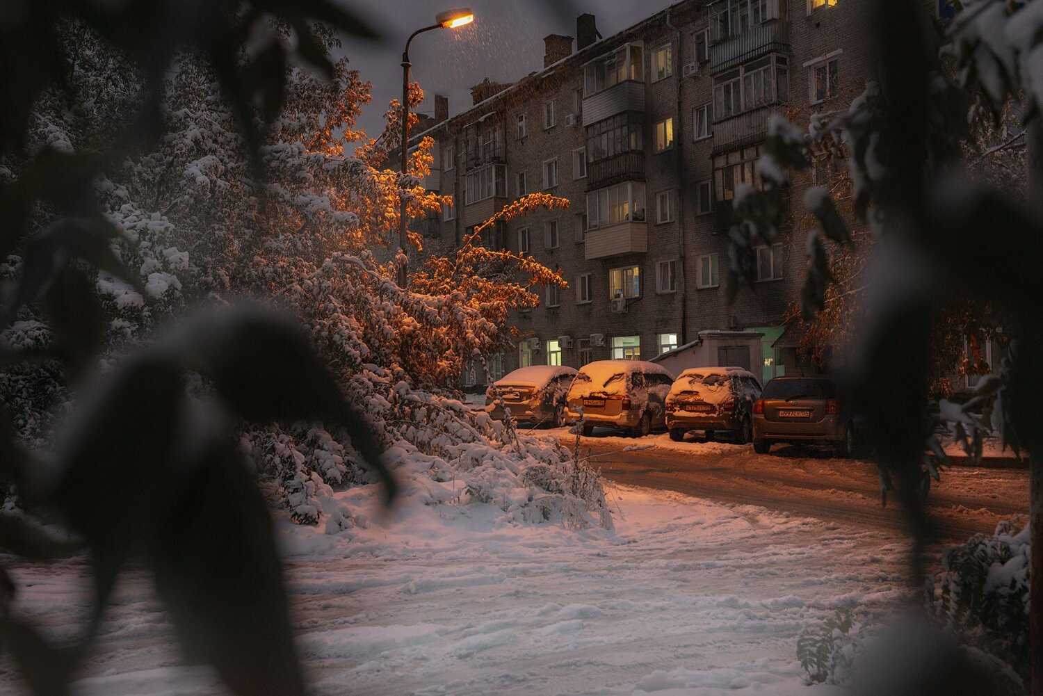 ,  Мария