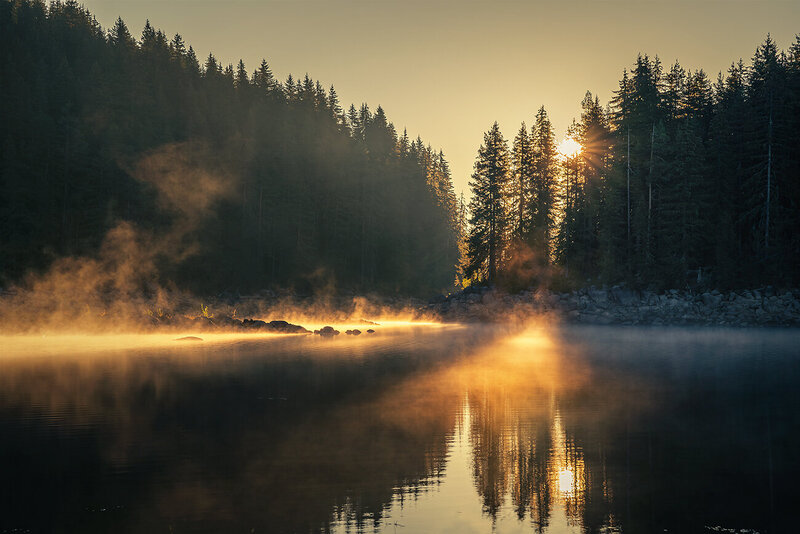 The Day Rises фото превью