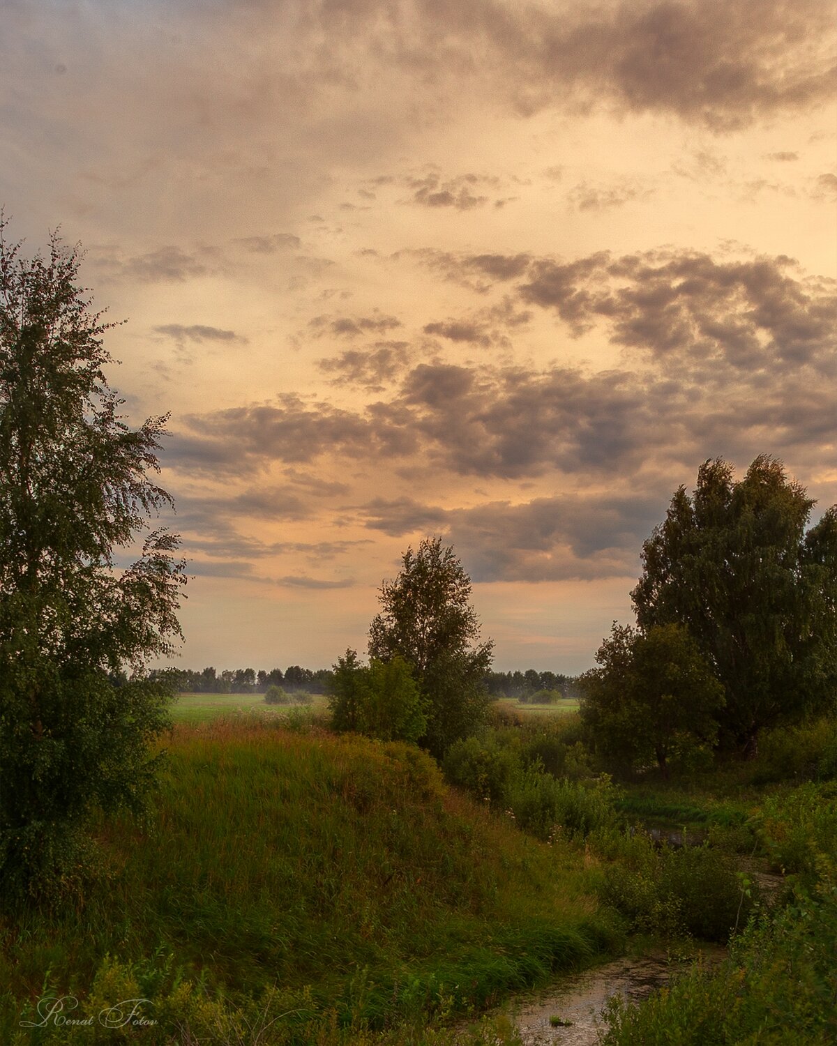 , Renat Fotov