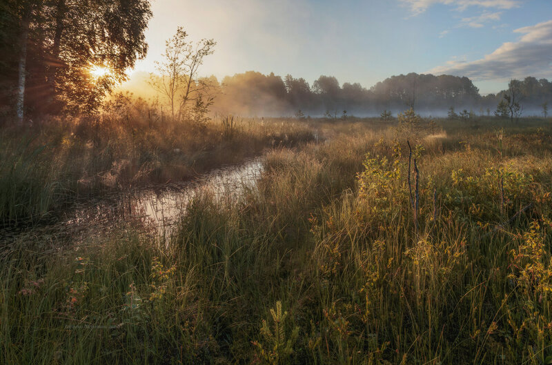 лужский район, болото, озеро, ленобласть, пейзаж, природа, пейзажи россии, russia, nature, sunrise, landscape, ленинградская область, болота, туман, туманы Болотными тропками фото превью