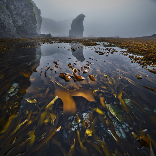 Морские узоры