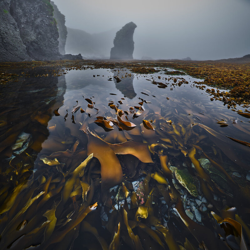 Морские узоры