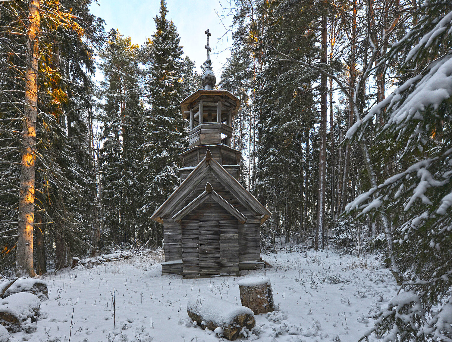 кенозерье, зима, священная роща, Сергей Седов