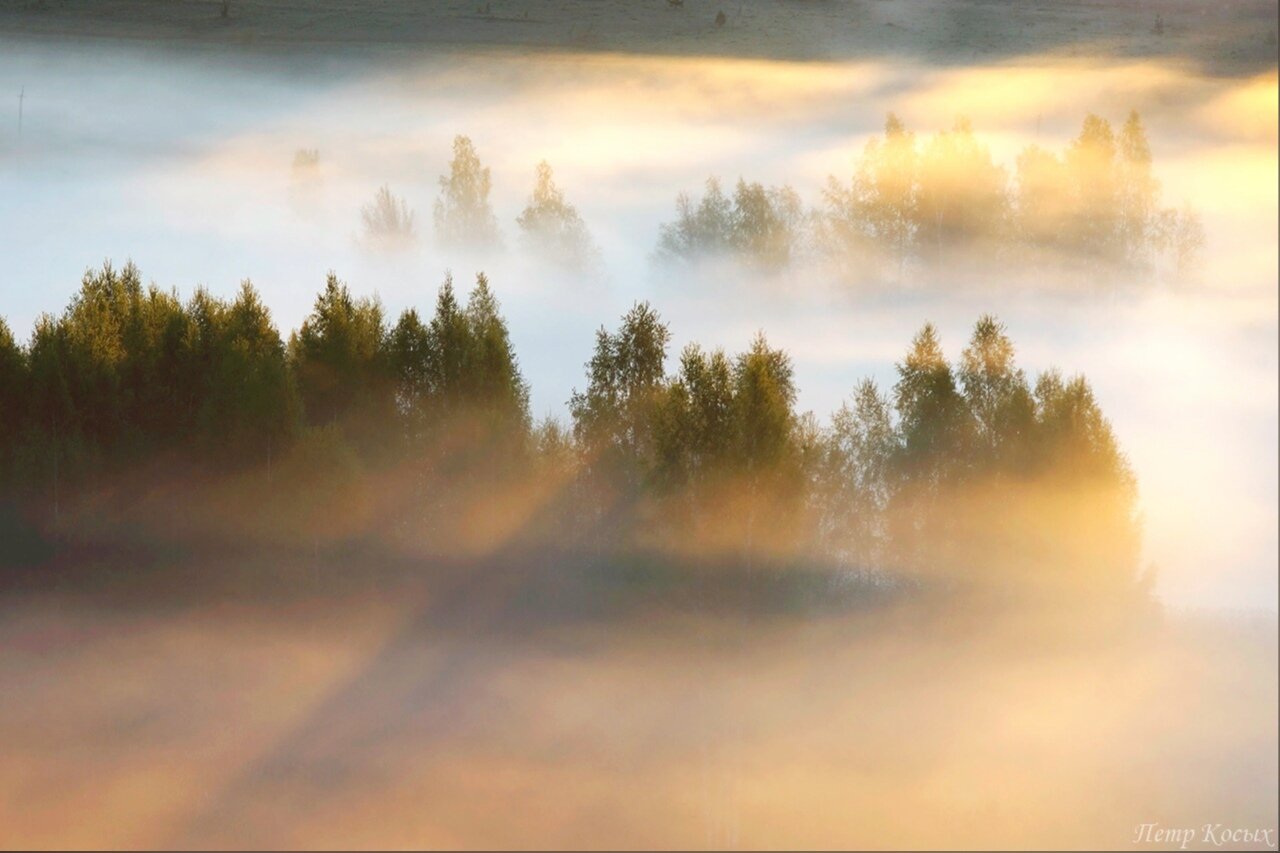 , Петр Косых