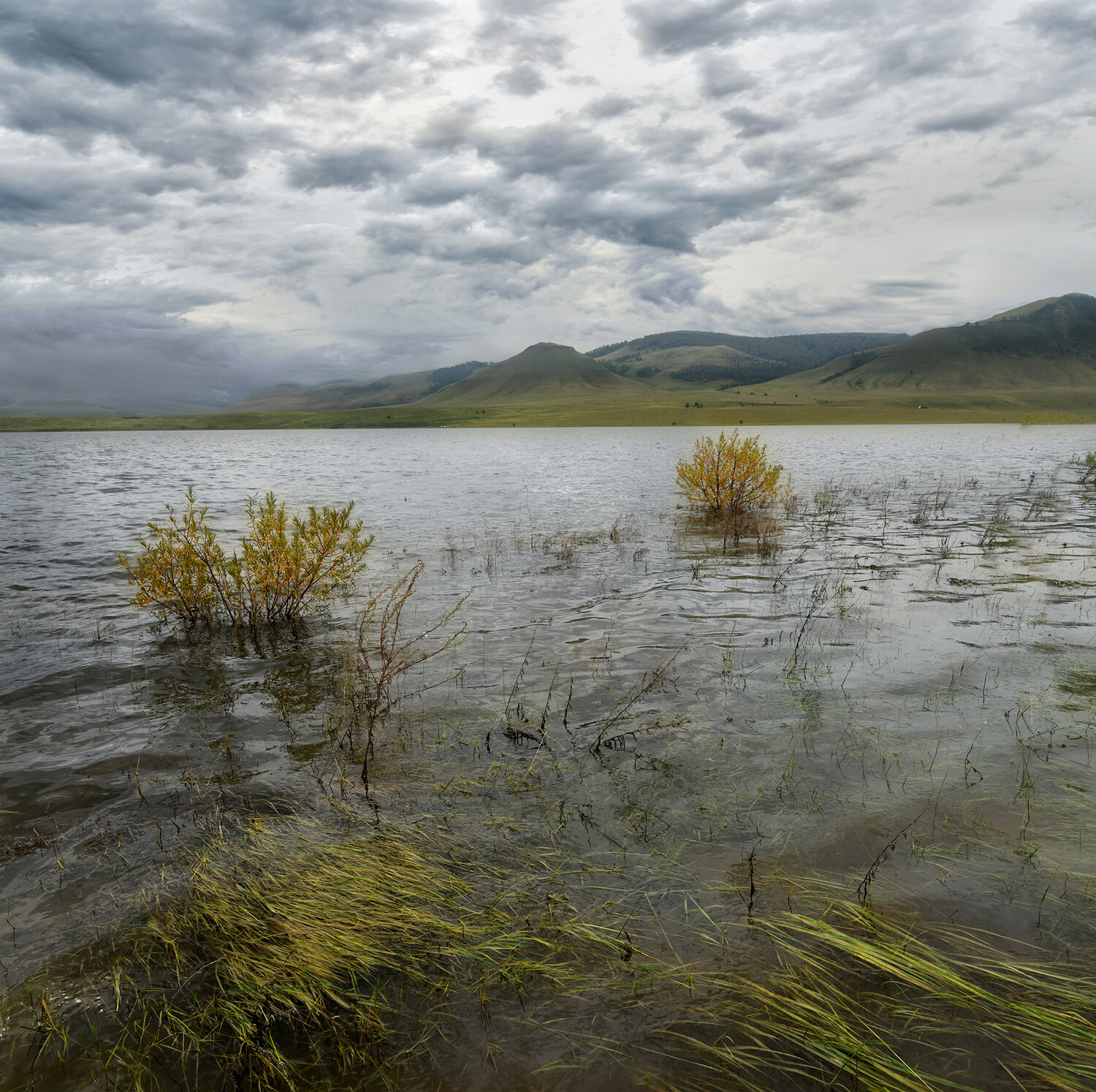 , Крат Светлана