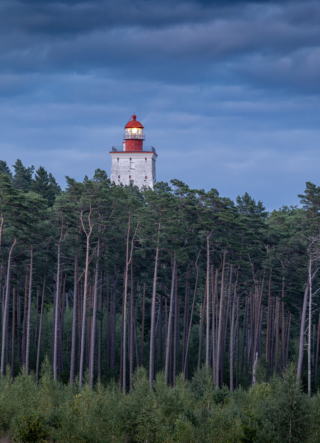 lighthouse, маяк, лес, forrest, evening, glow, вечер, Гордон Николай