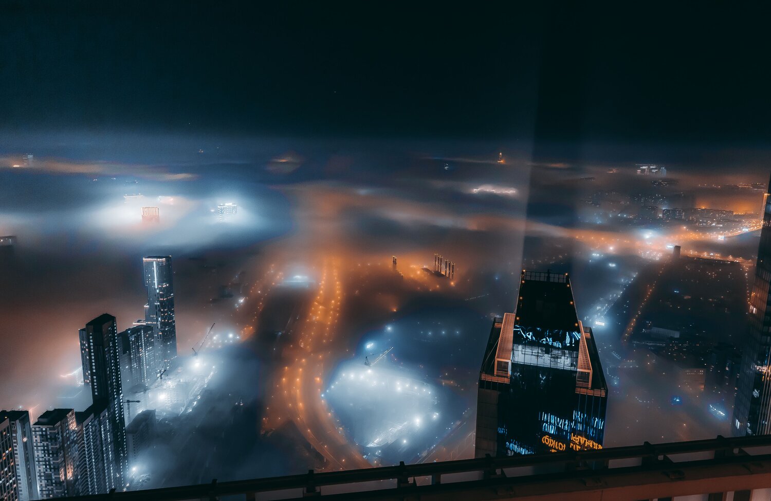 , Трепольский Дмитрий