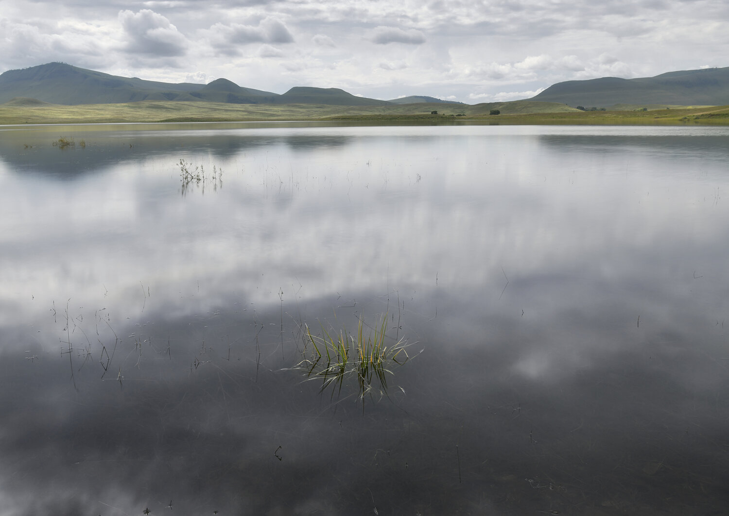 , Крат Светлана