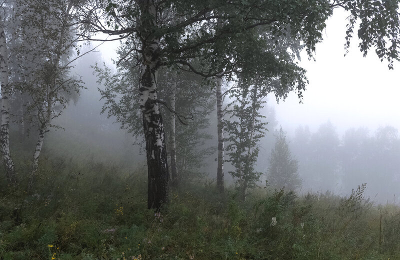 Туманы Торгашинского хребта фото превью